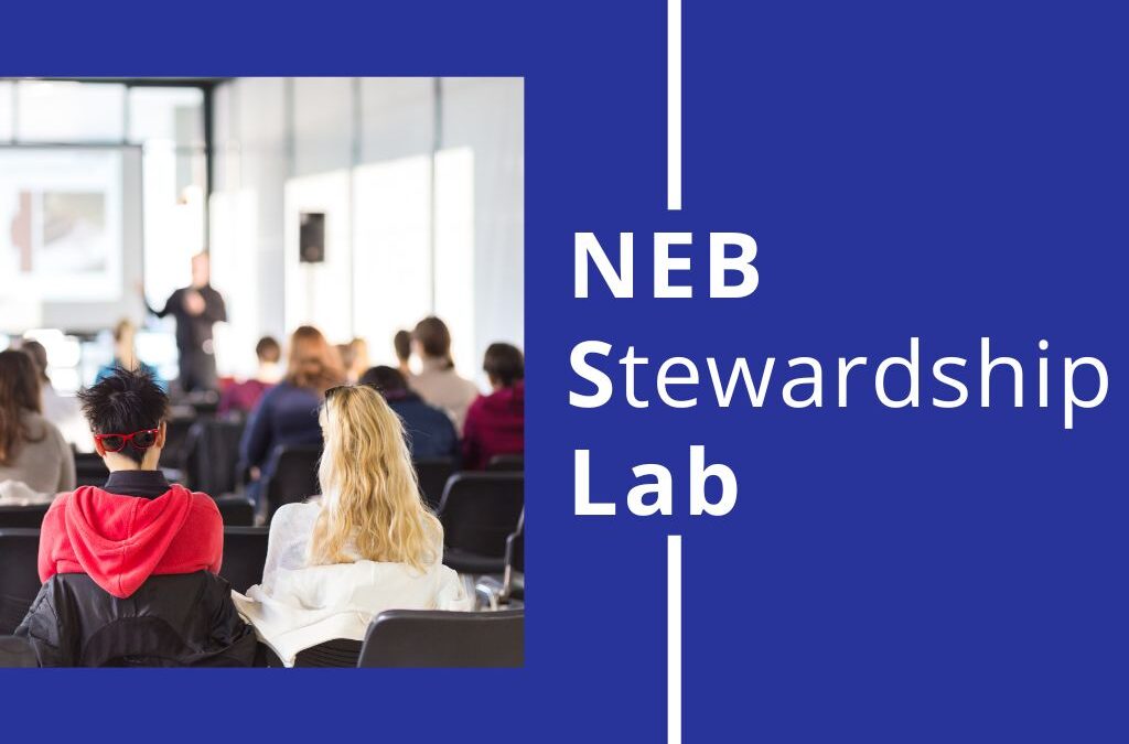 NEB Stewardship Lab