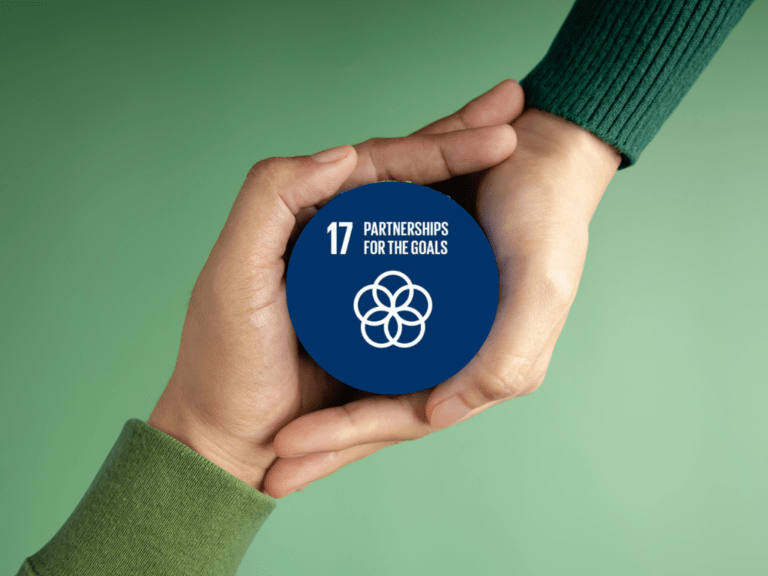 SDG 17: When an idea becomes reality_Milan_2024
